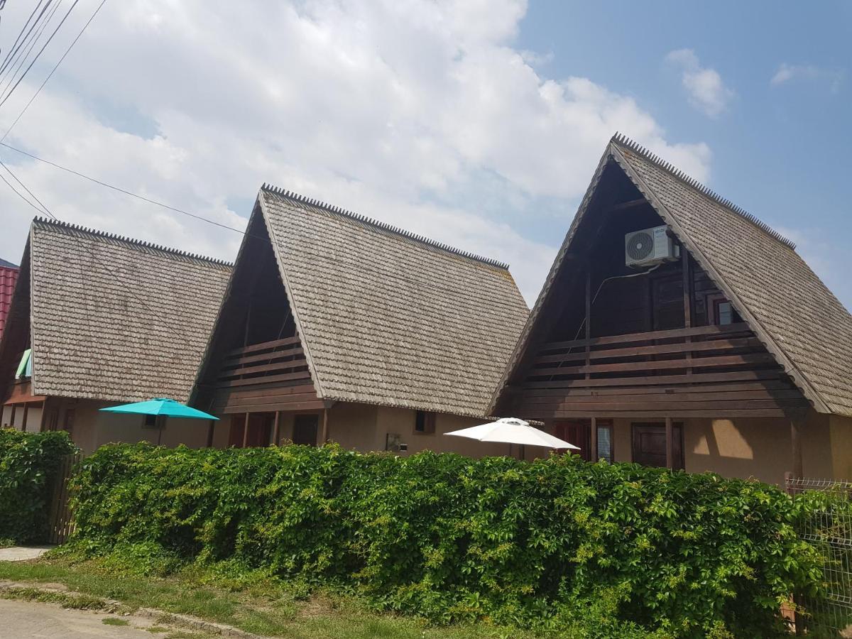 Casutele Intim Villa Costinesti Eksteriør bilde